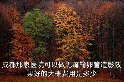 成都那家醫院可以做無痛輸卵管造影效果好的大概費用是多少
