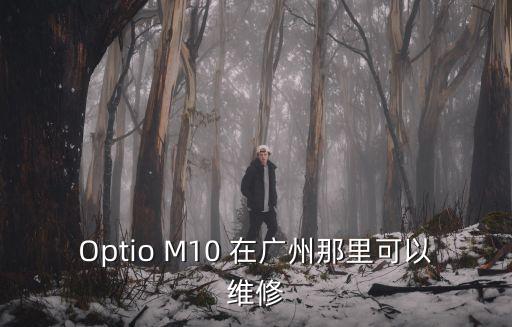 Optio M10 在廣州那里可以維修