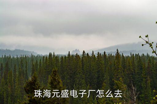 珠海元盛電子廠怎么去