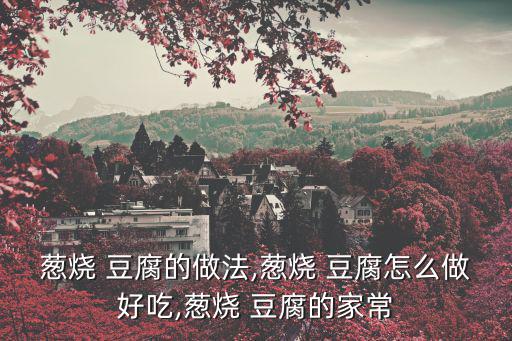 蔥燒 豆腐的做法,蔥燒 豆腐怎么做好吃,蔥燒 豆腐的家常