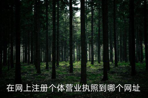 在網上注冊個體營業執照到哪個網址