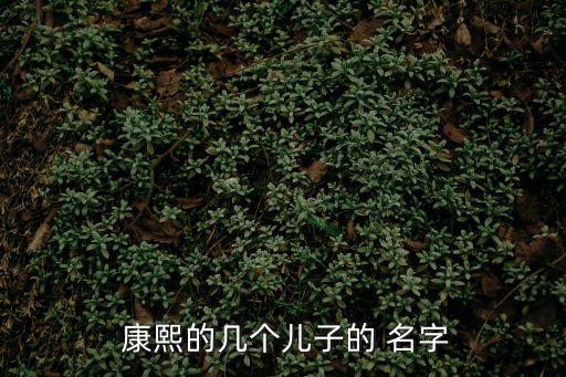  康熙的幾個(gè)兒子的 名字
