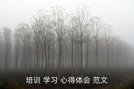學(xué)習(xí)心得范文,閱讀與練習(xí)心得體驗