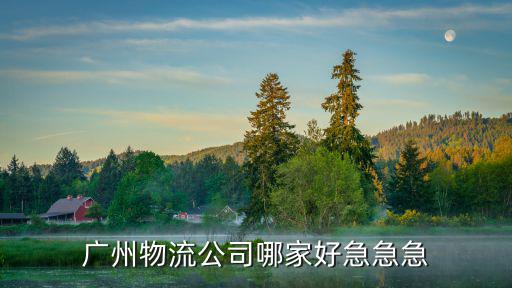 廣州物流公司哪家好急急急