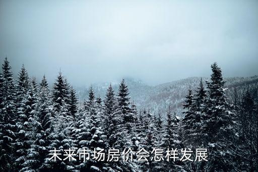 未來國際的房價會如何變化，世界房價成什么趨勢