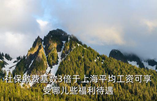 社保繳費基數3倍于上海平均工資可享受哪兒些福利待遇