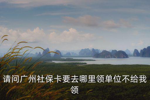 廣州社保機(jī)構(gòu)辦理社保卡，請(qǐng)問(wèn)廣州社保卡要去哪里領(lǐng)單位不給我領(lǐng)