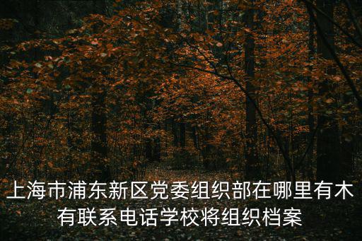 上海市市委組織部公示，上海市委組織部科教干部處處長(zhǎng)是誰