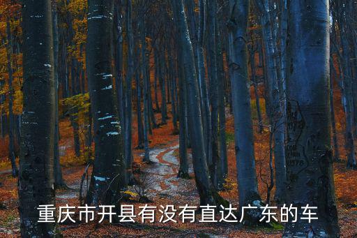 重慶市開縣有沒有直達廣東的車