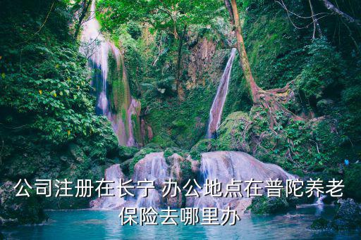 公司注冊在長寧 辦公地點(diǎn)在普陀養(yǎng)老保險(xiǎn)去哪里辦
