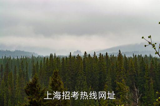 上海招考熱線網址