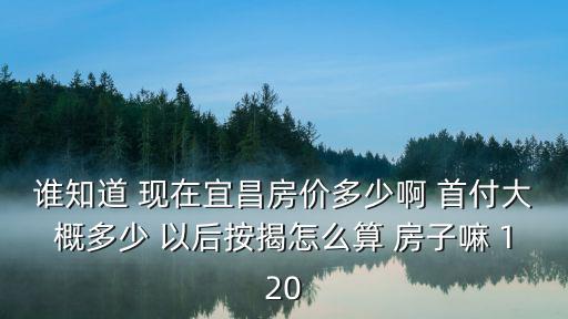 宜昌東城實驗區的房價如何，誰知道 現在宜昌房價多少啊 首付大概多少 以后按揭怎么算 房子嘛 120
