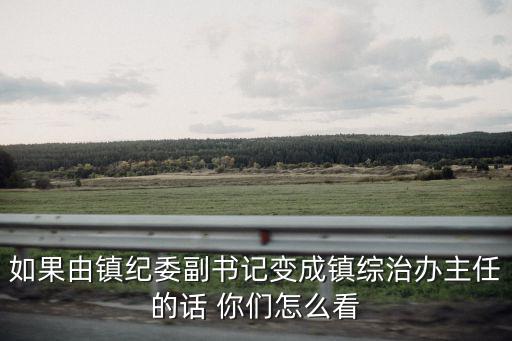 廣州黃石街道辦主任陳，從鎮黨委書記調到政法委綜治辦當主任