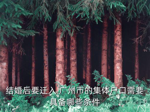 結(jié)婚后要遷入 廣州市的集體戶口需要具備哪些條件