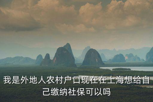 我是外地人農村戶口現在在上海想給自己繳納社保可以嗎