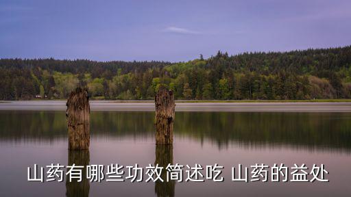  山藥有哪些功效簡述吃 山藥的益處
