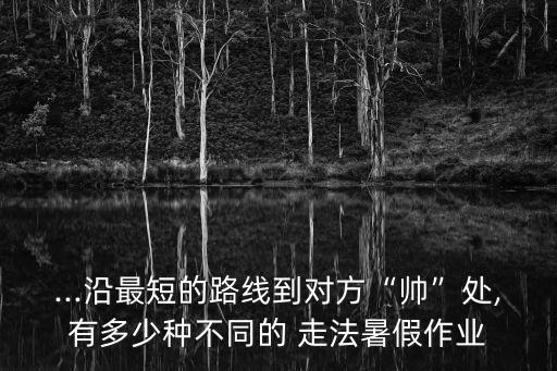 象棋帥的走法,馬國象棋走法規則:馬繞八個點走過去