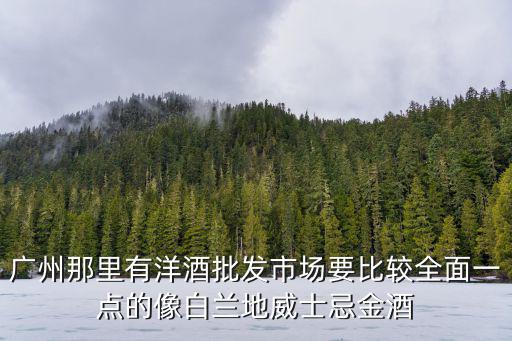 廣州那里有洋酒批發市場要比較全面一點的像白蘭地威士忌金酒
