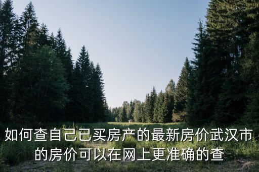 如何查自己已買房產的最新房價武漢市的房價可以在網上更準確的查