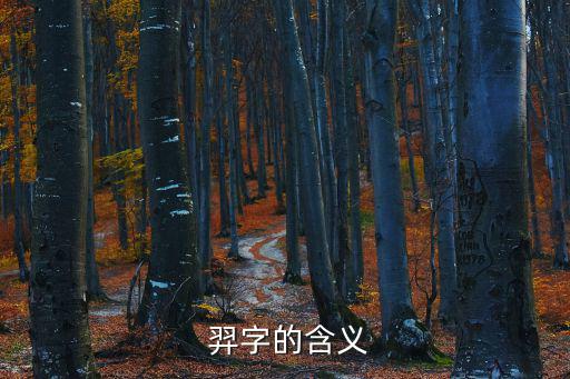  羿字的含義
