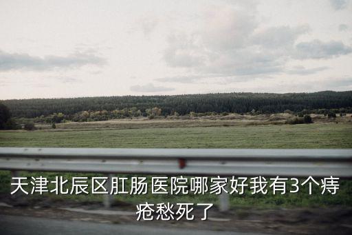 天津北辰區肛腸醫院哪家好我有3個痔瘡愁死了