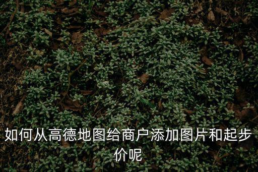高德地圖如何錄入房價指數(shù)，如何從高德地圖給商戶添加圖片和起步價呢