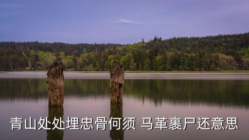 馬革裹尸還,馬革裹尸出自徐錫麟雜詩(shī):為國(guó)亡而埋骨