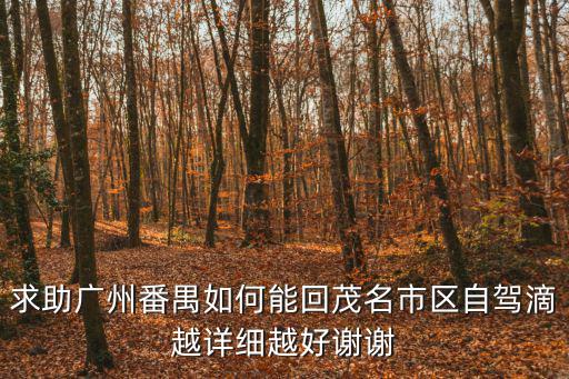 求助廣州番禺如何能回茂名市區自駕滴越詳細越好謝謝