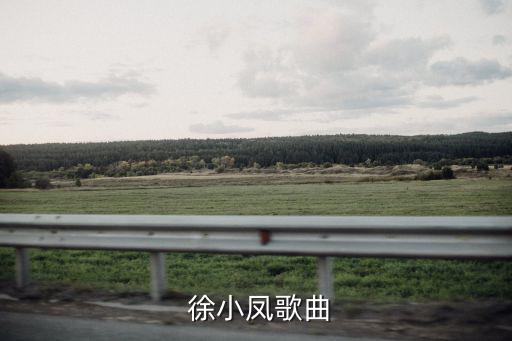 徐小鳳,《無奈》徐小鳳演唱歌曲