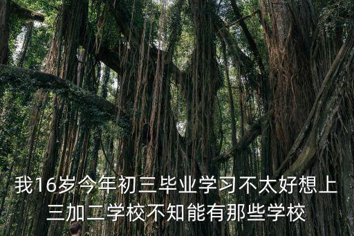 我16歲今年初三畢業學習不太好想上三加二學校不知能有那些學校