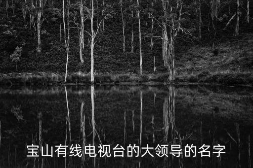 寶山有線電視臺的大領導的名字