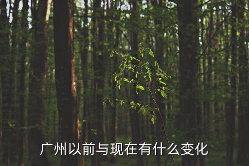 廣州以前與現在有什么變化