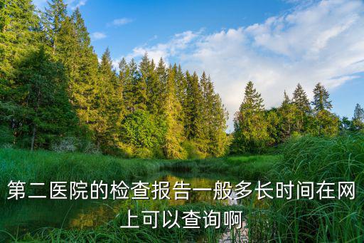 第二醫院的檢查報告一般多長時間在網上可以查詢啊