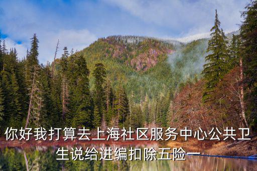 你好我打算去上海社區(qū)服務中心公共衛(wèi)生說給進編扣除五險一