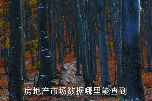 如何查詢城市房價數據庫，怎樣查城市的房產庫存