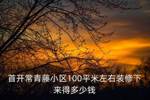 首開常青藤小區100平米左右裝修下來得多少錢