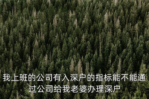 公司指標(biāo)入戶員工有什么要求，單位有入深圳戶口指標(biāo)還需要哪些條件