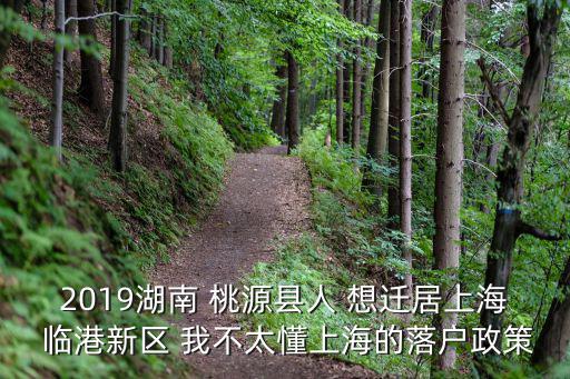 2019湖南 桃源縣人 想遷居上海 臨港新區(qū) 我不太懂上海的落戶政策