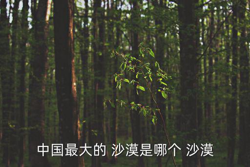 我國最大的沙漠,中國最大沙漠塔克拉瑪干沙漠位于新疆盆地中央