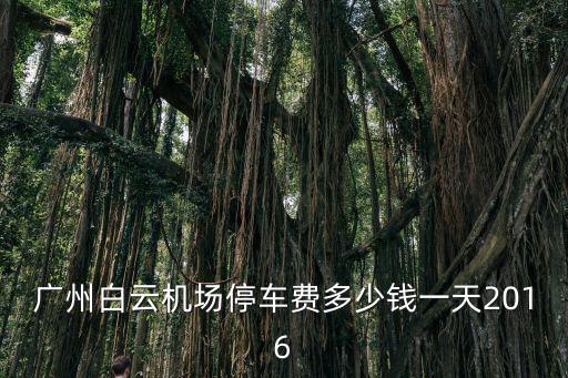廣州白云機場停車費多少錢一天2016