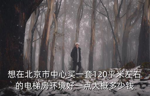 想在北京市中心買一套120平米左右的電梯房環境好一點大概多少錢