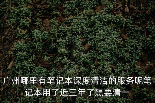 廣州哪里有筆記本深度清潔的服務呢筆記本用了近三年了想要清一
