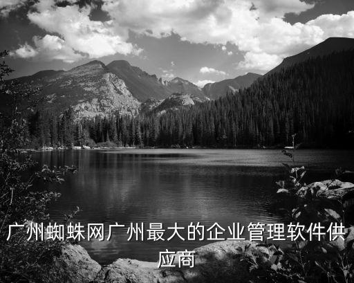 廣州蜘蛛網廣州最大的企業管理軟件供應商