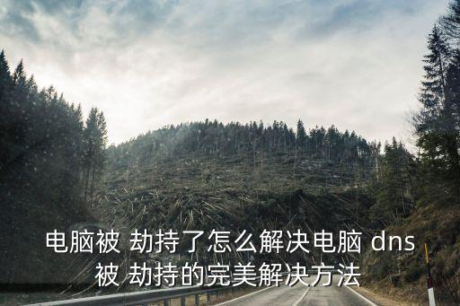 dns劫持,dns劫持首先可通過以下方法進行檢測