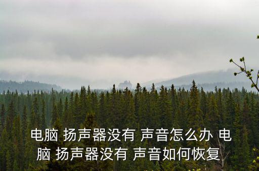  電腦 揚聲器沒有 聲音怎么辦 電腦 揚聲器沒有 聲音如何恢復