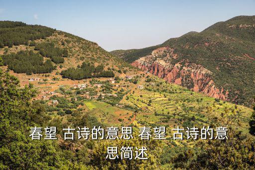 春望 古詩的意思 春望 古詩的意思簡述