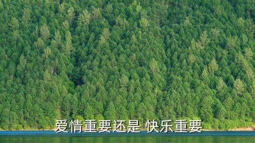  愛情重要還是 快樂重要