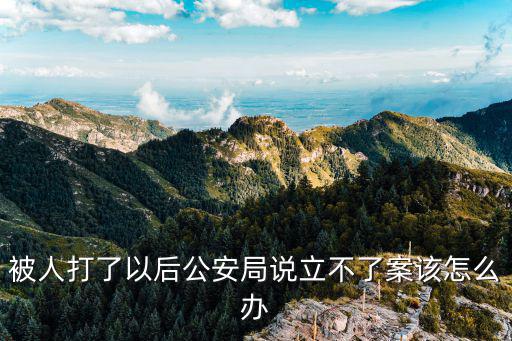 長寧記者被打，請問記者被打或毆打一詞在法律中如何界定哪些行為構成