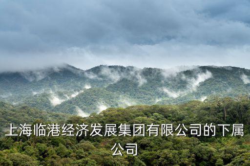上海臨港入駐企業，誰知道臨港具體入駐企業的名單