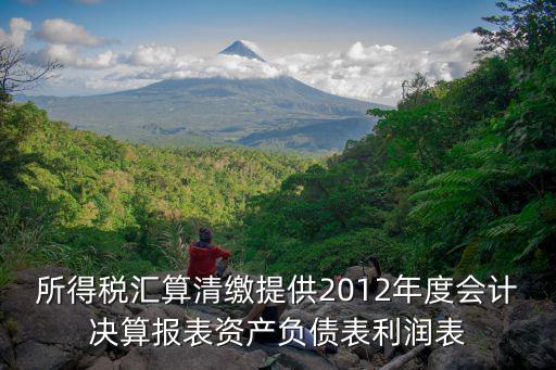 所得稅匯算清繳提供2012年度會計(jì)決算報(bào)表資產(chǎn)負(fù)債表利潤表